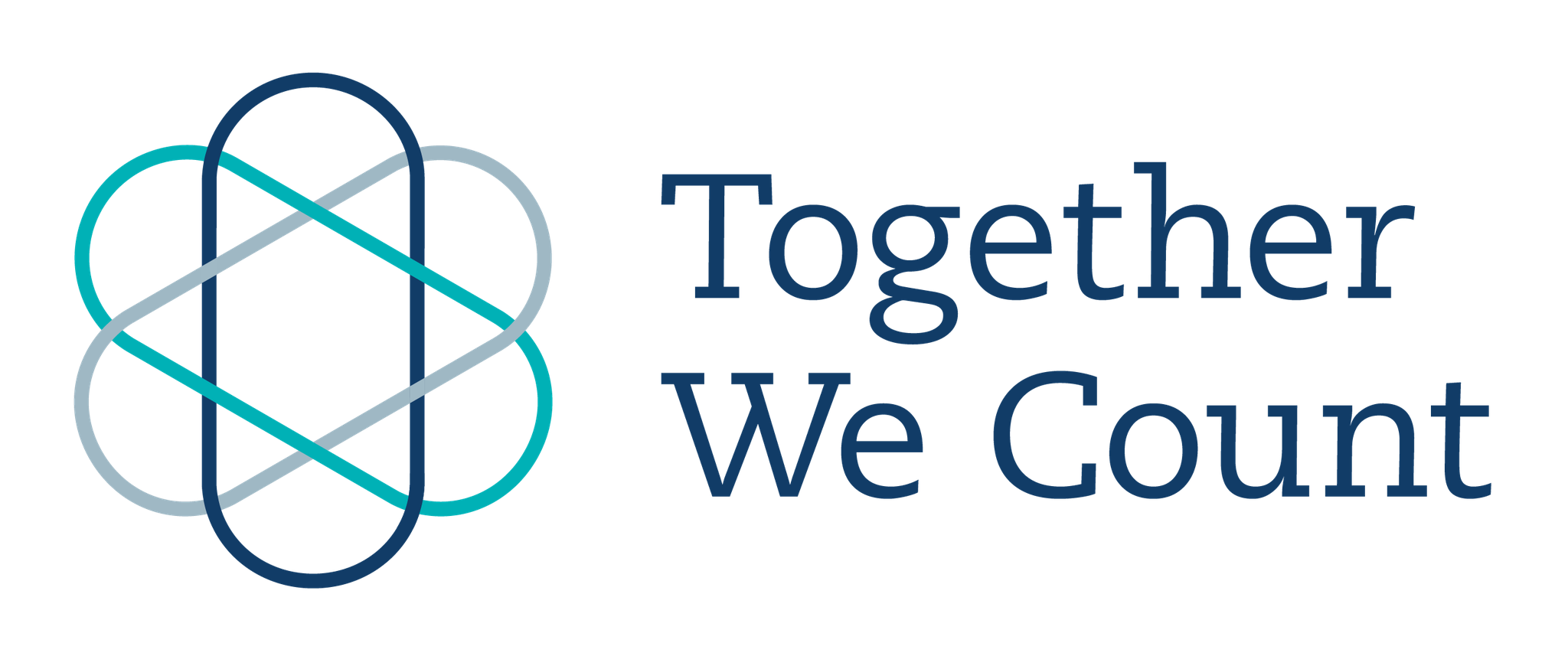 Accountant logo Together we count