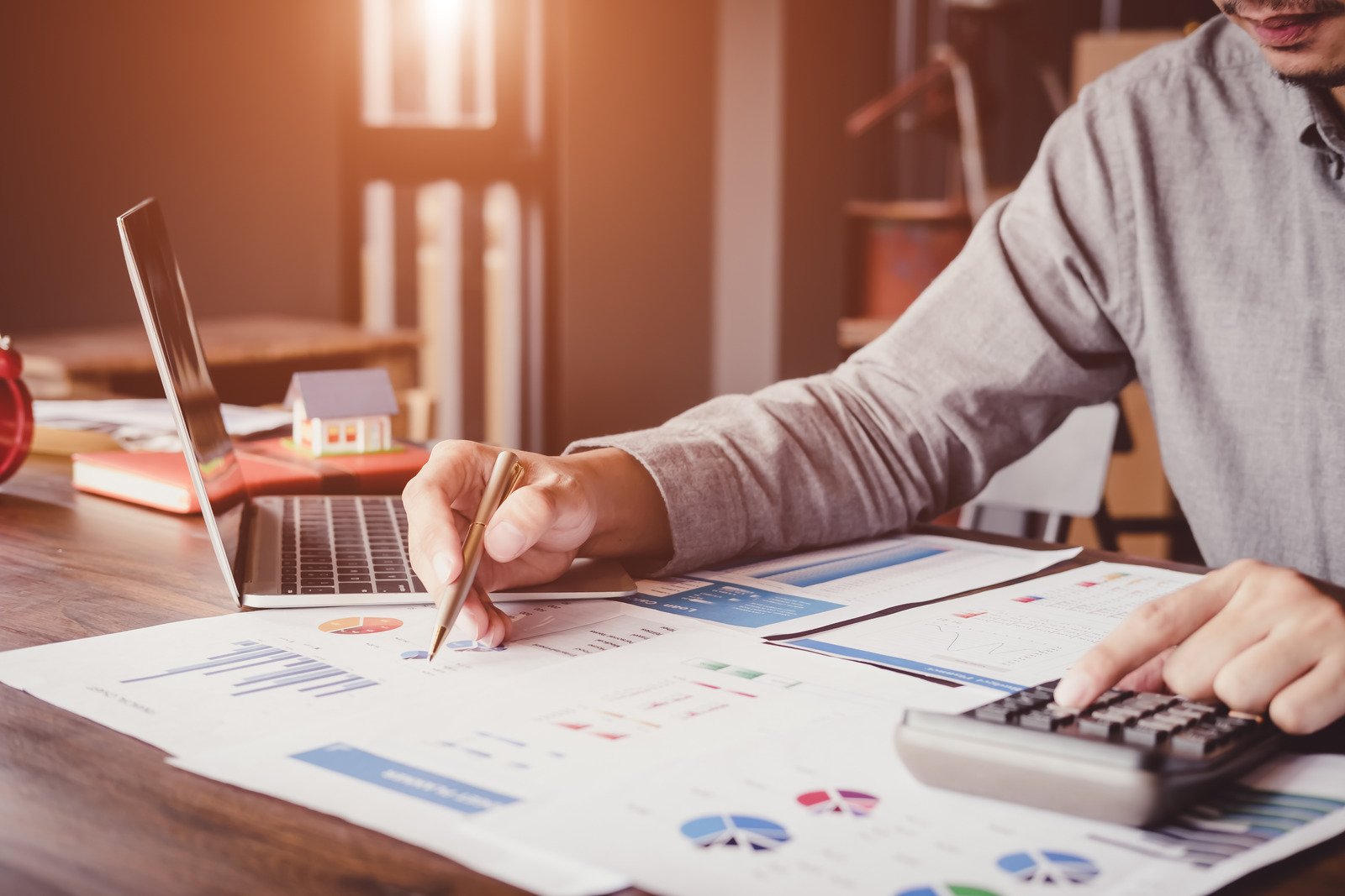 Accountant doing analytics